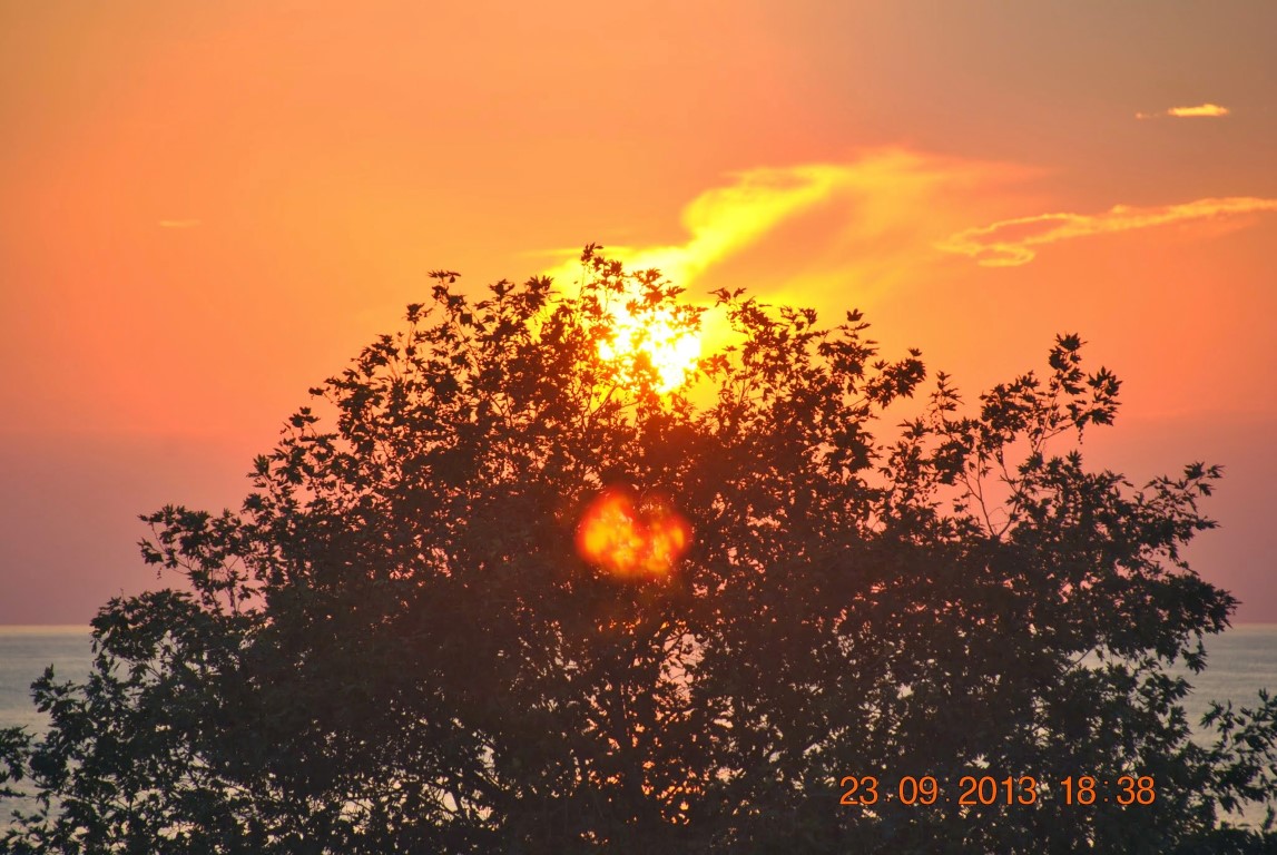 imagini hotel GRAND ZAMAN BEACH ALANYA